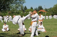 IBK-IBKHF-IKO Matsushima Hungary Summer Camp 2017