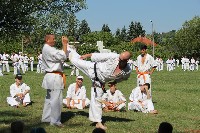 IBK-IBKHF-IKO Matsushima Hungary Summer Camp 2017