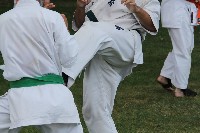 IBK-IBKHF-IKO Matsushima Hungary Summer Camp 2017