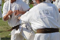 IBK-IBKHF-IKO Matsushima Hungary Summer Camp 2017
