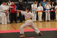 III. HALAS KUPA
