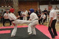 III. HALAS KUPA