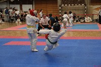 III. HALAS KUPA