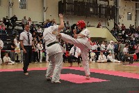 III. HALAS KUPA