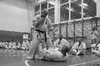 Kancho Gerard Gordeau 9. Dan az IBK vezetője edzést tart a Seishin Dojoban