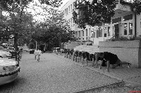 Kandó Téri Kettlebell Tréning