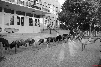 Kandó Téri Tréning