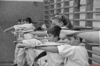 Küzdőedzés a Seishin Dojoban