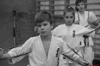 Küzdőedzés a Seishin Dojoban
