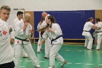 Küzdőedzés a Seishin Dojoban