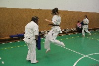 Küzdőedzés a Seishin Dojoban