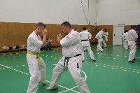 Küzdőedzés a Seishin Dojoban