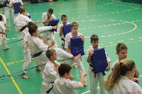 Küzdőedzés a Seishin Dojoban