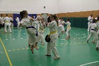 Küzdőedzés a Seishin Dojoban