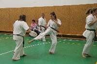 Küzdőedzés a Seishin Dojoban
