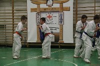 Küzdőedzés a Seishin Dojoban