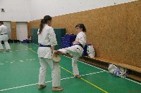 Küzdőedzés a Seishin Dojoban