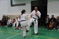 Közös küzdőedzés Törtelen