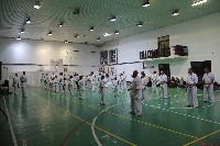 Közös küzdőedzés Törtelen