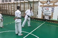 Küzdőtechnikai tréning Sensei Gottfried Sándor 3. Dan mesterrel