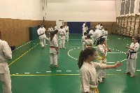 Küzdőtechnikai tréning Sensei Gottfried Sándor 3. Dan mesterrel