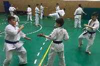 Küzdőtechnikai tréning Sensei Gottfried Sándor 3. Dan mesterrel