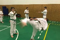 Küzdőtechnikai tréning Sensei Gottfried Sándor 3. Dan mesterrel