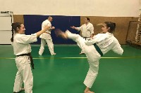 Küzdőtechnikai tréning Sensei Gottfried Sándor 3. Dan mesterrel