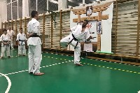 Küzdőtechnikai tréning Sensei Gottfried Sándor 3. Dan mesterrel