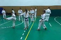 Küzdőtechnikai tréning Sensei Gottfried Sándor 3. Dan mesterrel
