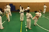 Küzdőtechnikai tréning Sensei Gottfried Sándor 3. Dan mesterrel