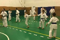 Küzdőtechnikai tréning Sensei Gottfried Sándor 3. Dan mesterrel