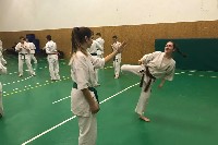 Küzdőtechnikai tréning Sensei Gottfried Sándor 3. Dan mesterrel