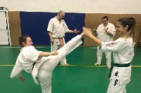 Küzdőtechnikai tréning Sensei Gottfried Sándor 3. Dan mesterrel