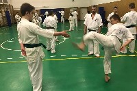 Küzdőtechnikai tréning Sensei Gottfried Sándor 3. Dan mesterrel