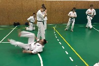 Küzdőtechnikai tréning Sensei Gottfried Sándor 3. Dan mesterrel