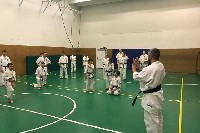 Küzdőtechnikai tréning Sensei Gottfried Sándor 3. Dan mesterrel