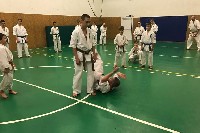 Küzdőtechnikai tréning Sensei Gottfried Sándor 3. Dan mesterrel