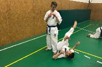 Küzdőtechnikai tréning Sensei Gottfried Sándor 3. Dan mesterrel