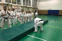 Küzdőtechnikai tréning Sensei Gottfried Sándor 3. Dan mesterrel