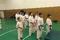 Küzdőtechnikai tréning Sensei Gottfried Sándor 3. Dan mesterrel