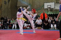 Nyúl Kupa 2017.