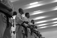 Összevont küzdőedzés a Seishin Dojoban
