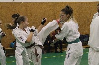 Összevont küzdőedzés a Seishin Dojoban