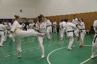 Összevont küzdőedzés a Seishin Dojoban