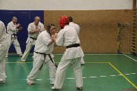 Összevont küzdőedzés a Seishin Dojoban
