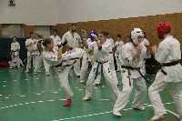 Összevont küzdőedzés a Seishin Dojoban