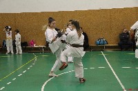 Összevont küzdőedzés a Seishin Dojoban