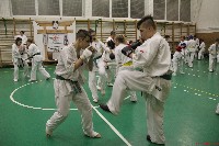 Összevont küzdőedzés a Seishin Dojoban