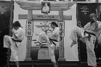 Sensei Terry Birkett 4. Dan küzdő szemináriuma a Seishin Dojoban